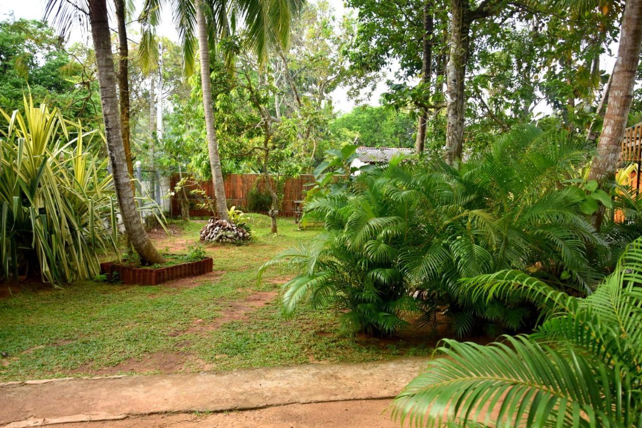 S P City Resort Anuradhapura Εξωτερικό φωτογραφία