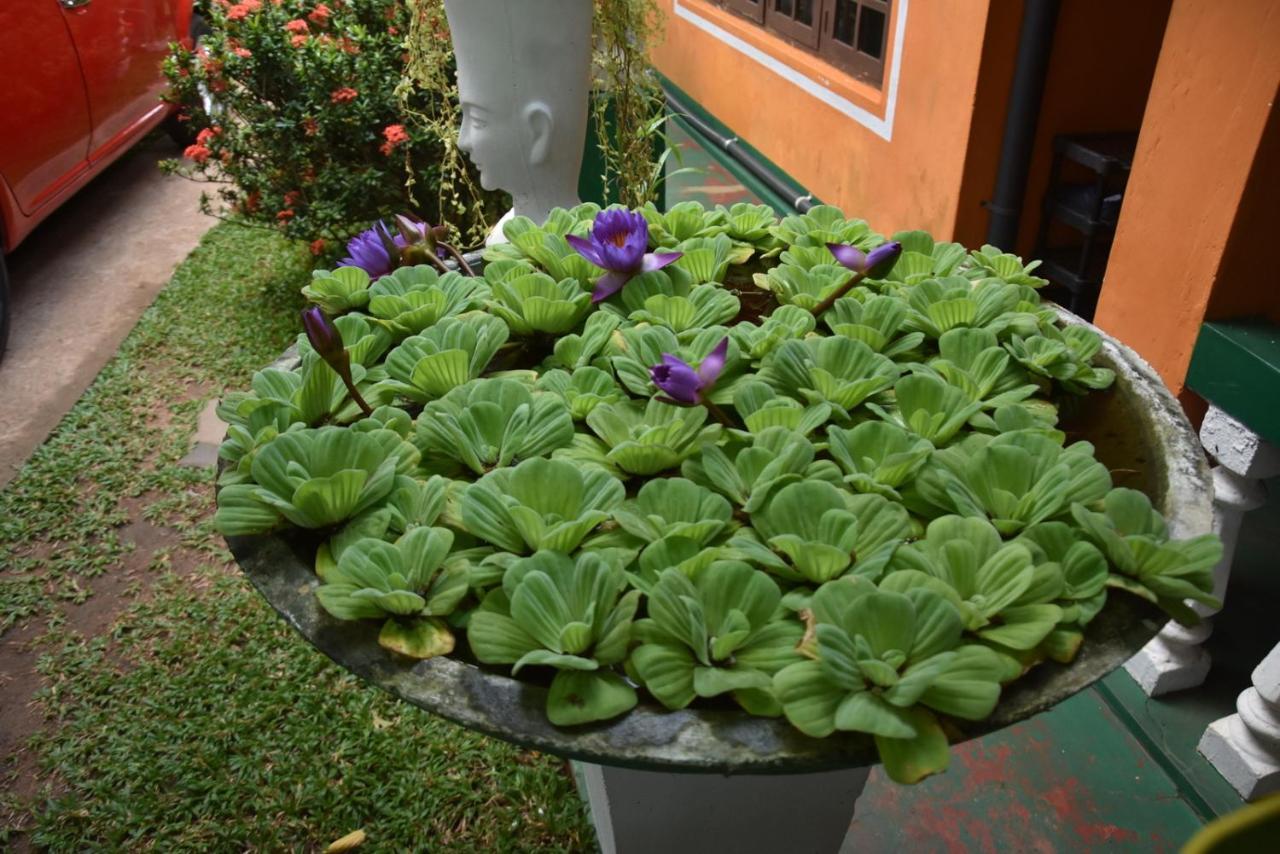 S P City Resort Anuradhapura Εξωτερικό φωτογραφία