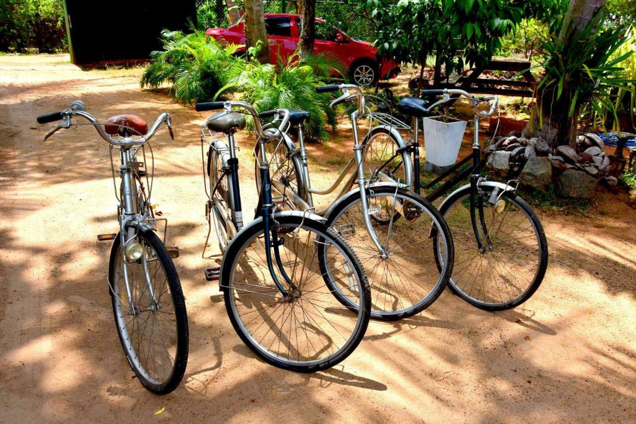 S P City Resort Anuradhapura Εξωτερικό φωτογραφία