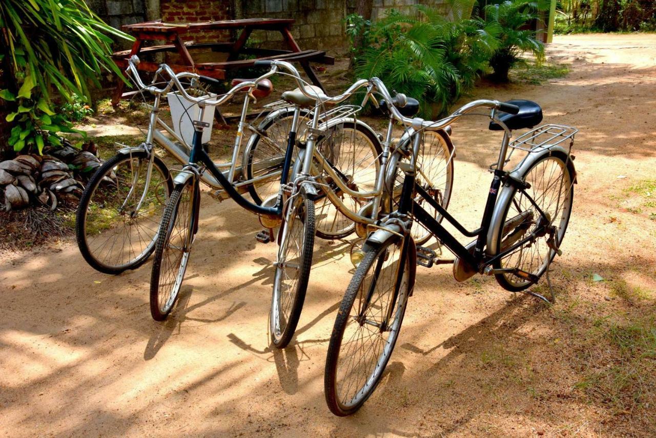 S P City Resort Anuradhapura Εξωτερικό φωτογραφία